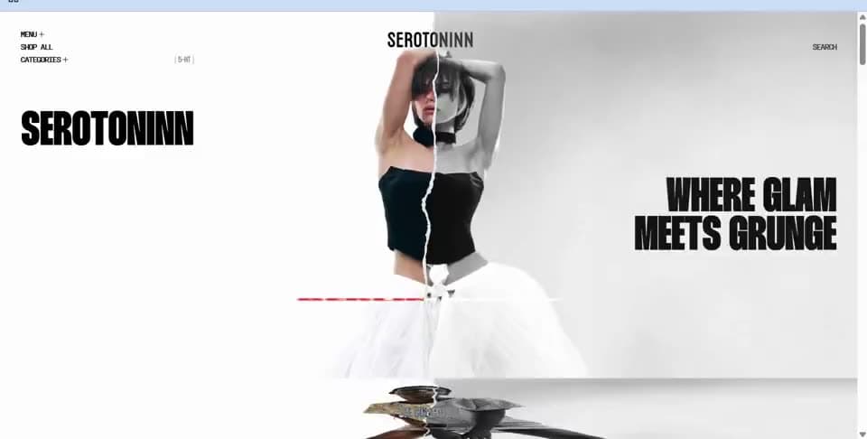 Serotonin hospitality brand poster